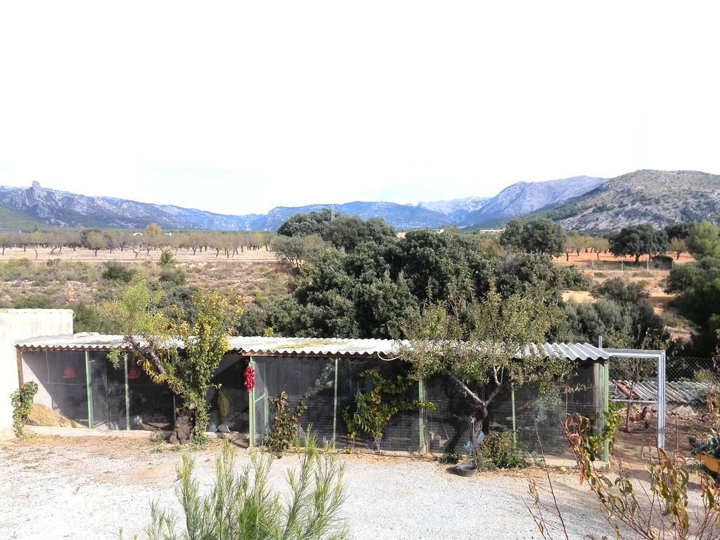 Cabanas Cortijo El Helao Pozo Alcón Kültér fotó