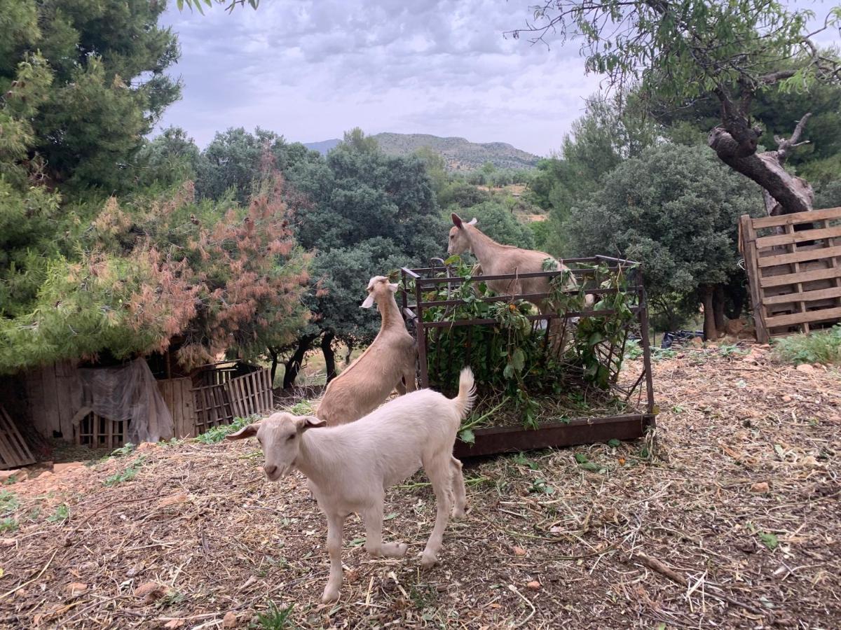 Cabanas Cortijo El Helao Pozo Alcón Kültér fotó